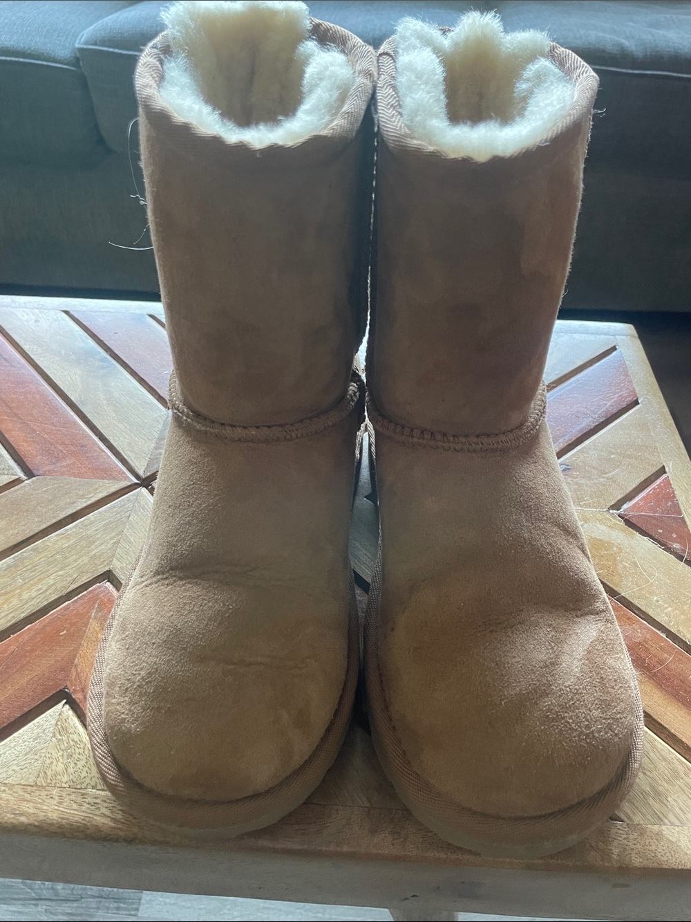 UGG Kids Chestnut Suede Shearling Boots